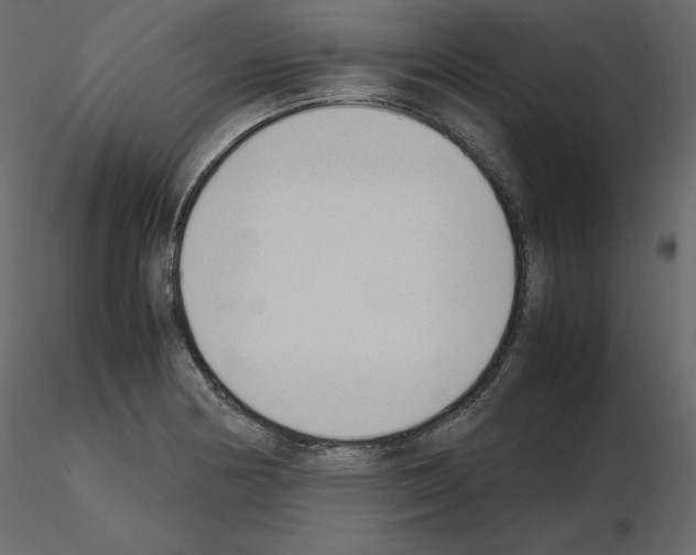 X0000115721178200912241558
