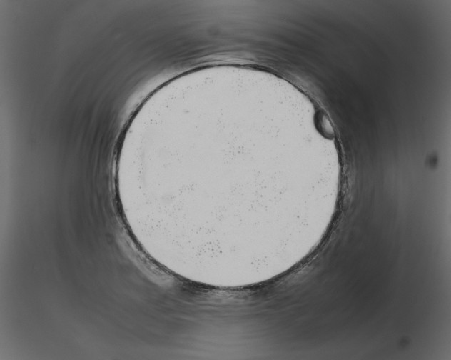 X0000115721179200912241558