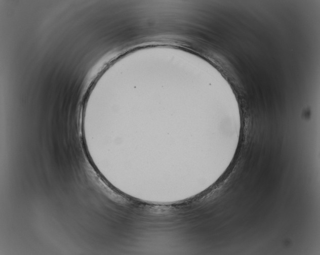 X0000115721180200912241558