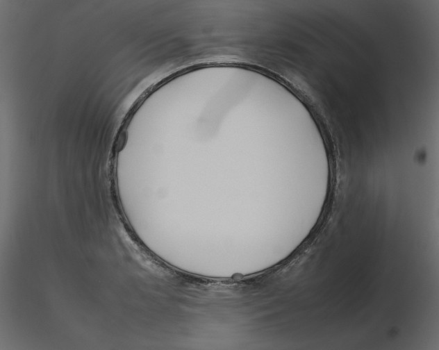 X0000115721181200912241558