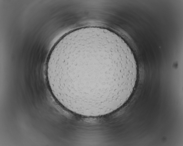 X0000115721182200912241558