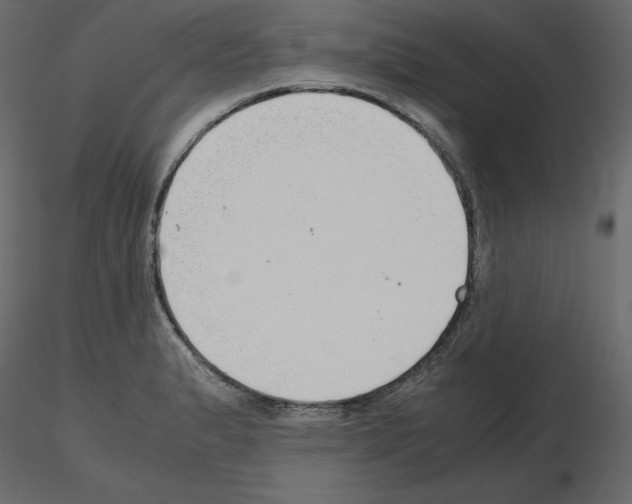 X0000115721183200912241558