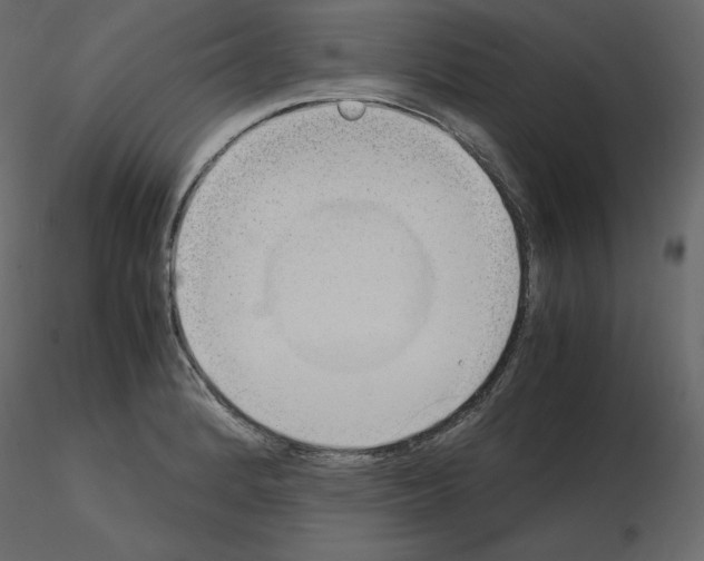 X0000115721184200912241558