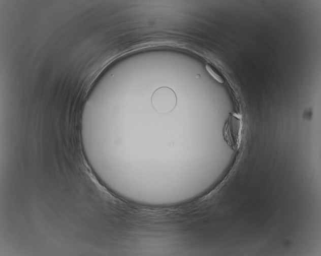 X0000115721185200912241558