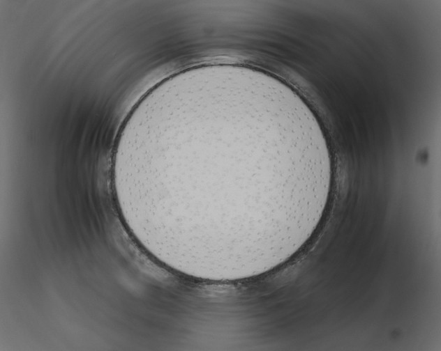 X0000115721186200912241558