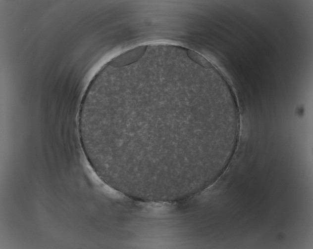 X0000115721189200912241558