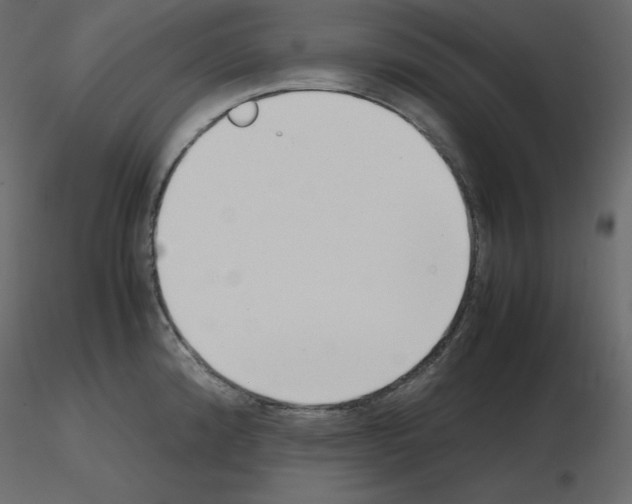X0000115721192200912241558
