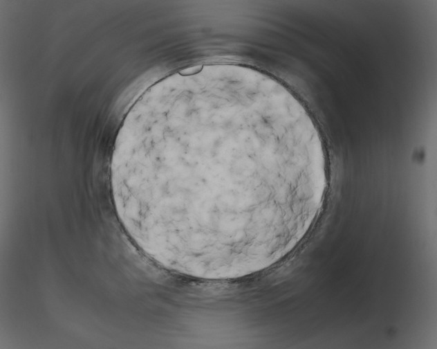 X0000115721193200912241558