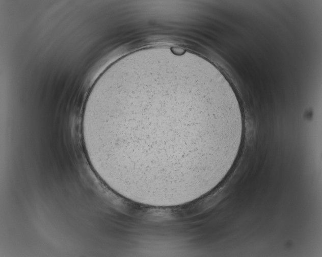 X0000115721194200912241558