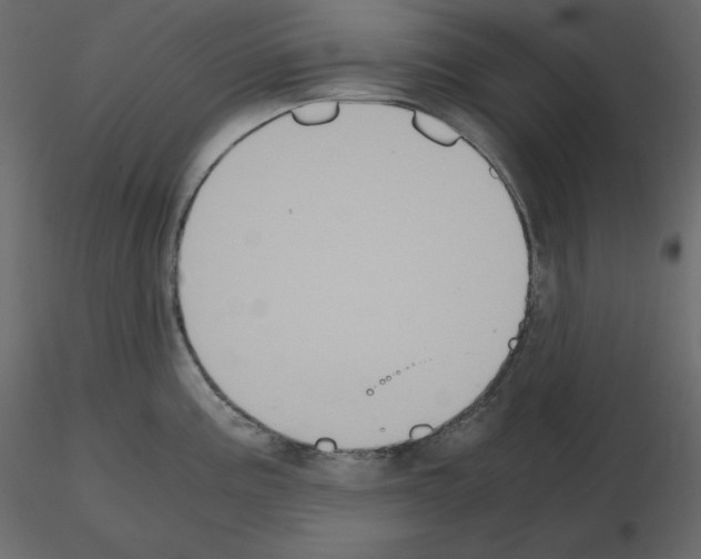 X0000115721195200912241558