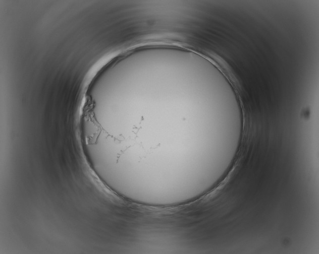 X0000115721196200912241558