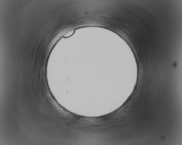 X0000115721197200912241558