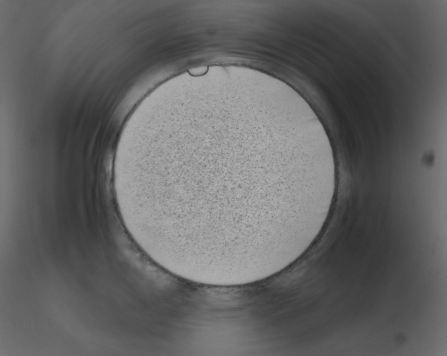 X0000115721198200912241558