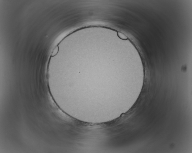 X0000115721199200912241558