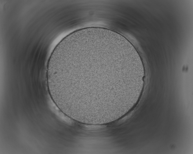 X0000115721200200912241558