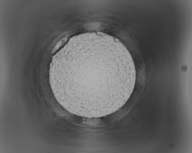 X0000115721201200912241557