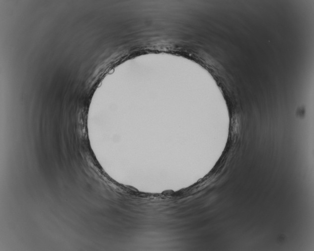 X0000115721202200912241557