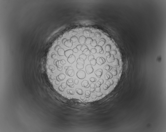 X0000115721205200912241558