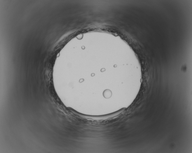 X0000115721206200912241558
