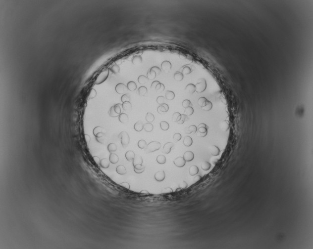 X0000115721208200912241558
