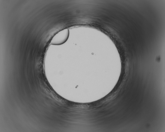 X0000115721210200912241558