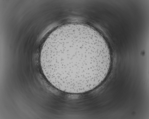 X0000115721211200912241558