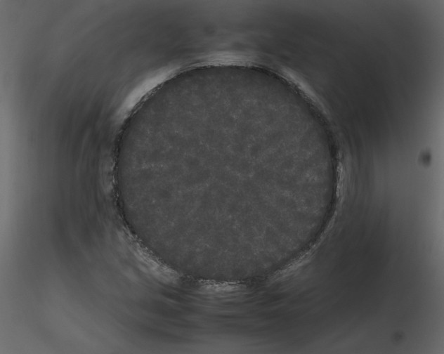 X0000115721213200912241558