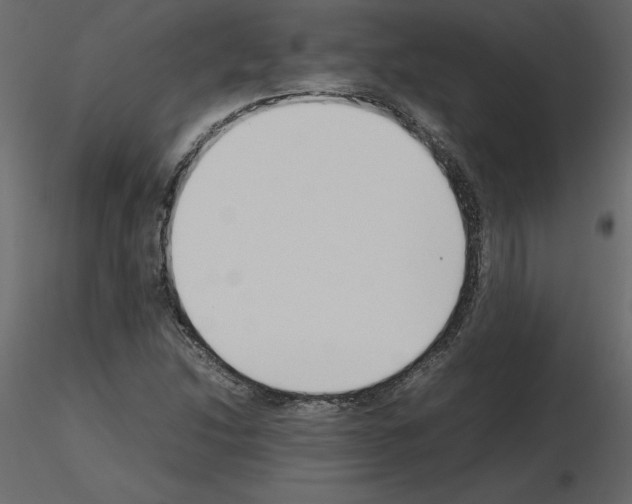 X0000115721214200912241558