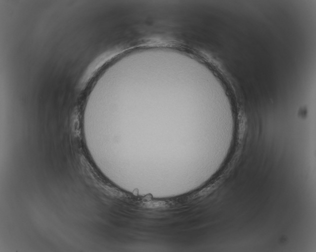 X0000115721215200912241558