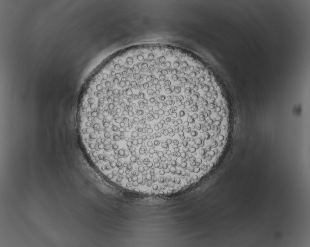 X0000115721216200912241558