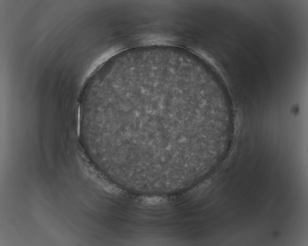 X0000115721219200912241558
