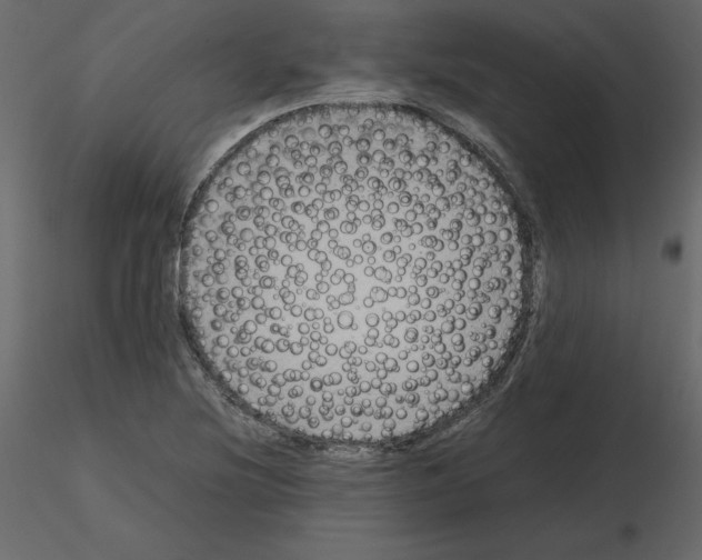 X0000115721220200912241558