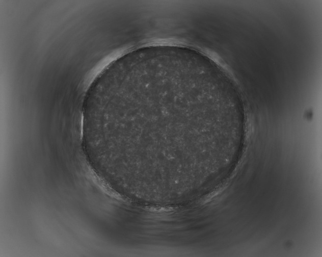 X0000115721221200912241558