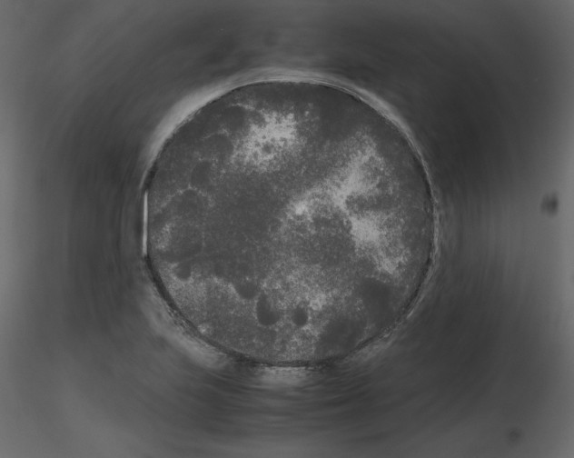 X0000115721223200912241558