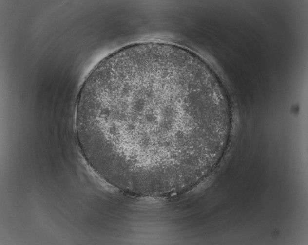 X0000115721224200912241558