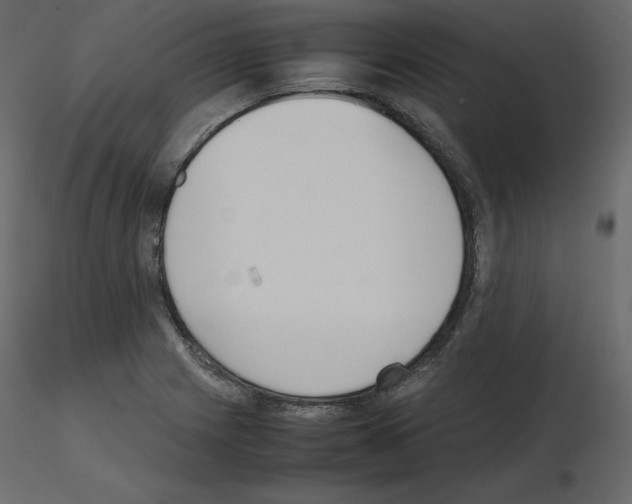 X0000115721225200912241558