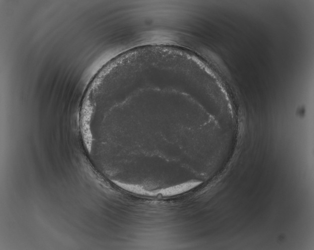 X0000115721226200912241558