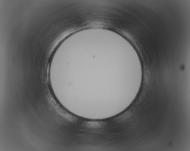 X0000115721227200912241558