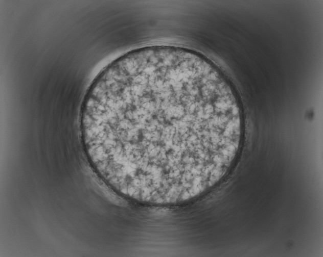X0000115721230200912241558