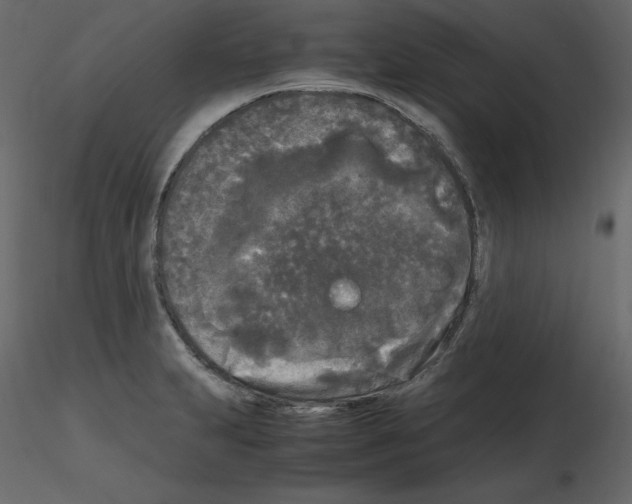 X0000115721231200912241558