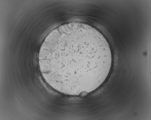 X0000115721233200912241558