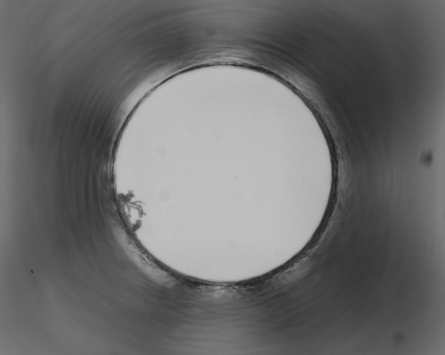 X0000115721234200912241558
