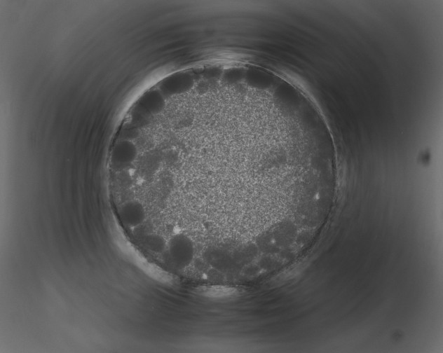 X0000115721235200912241558