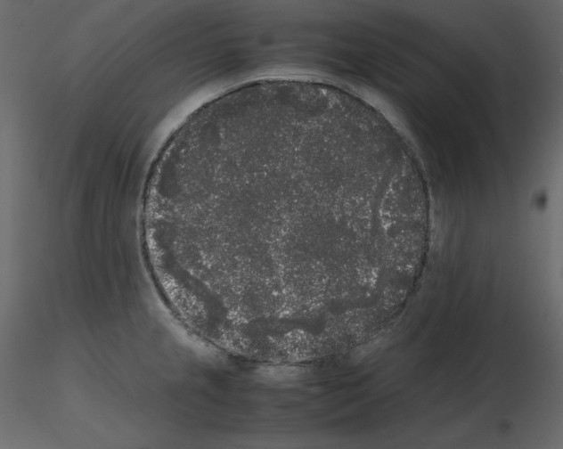 X0000115721237200912241558