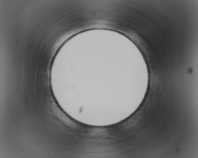 X0000115721238200912241558