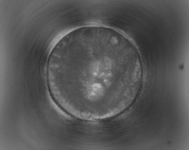 X0000115721239200912241558