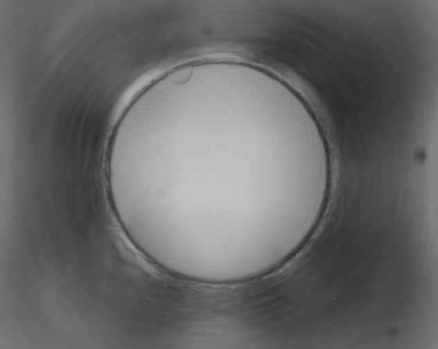 X0000115721240200912241558