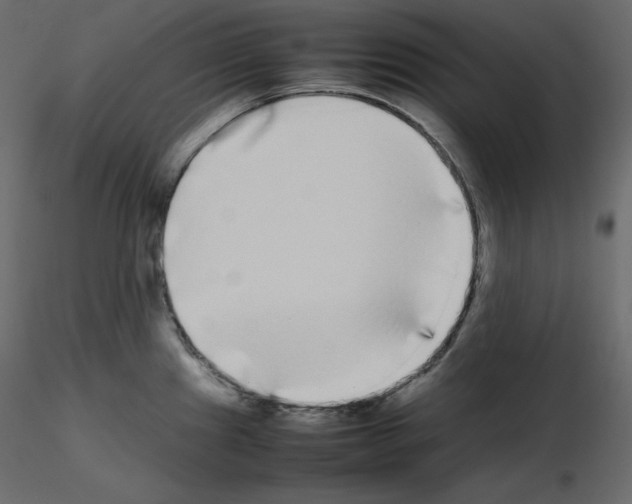 X0000115721241200912241558