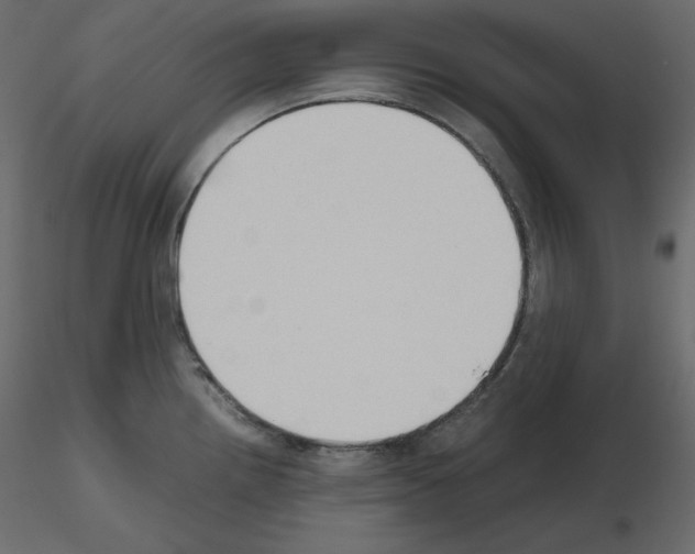 X0000115721242200912241558