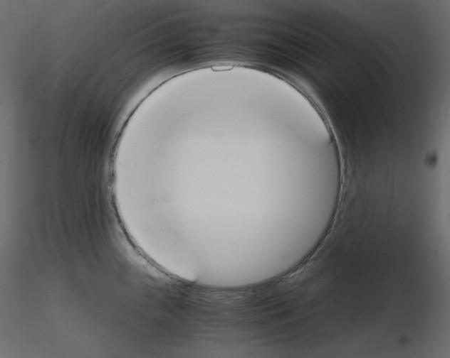 X0000115721243200912241558
